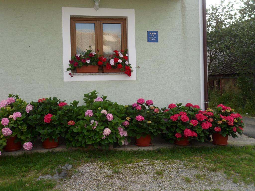Vacation Home Kuca Za Odmor 크라스노 폴리에 객실 사진